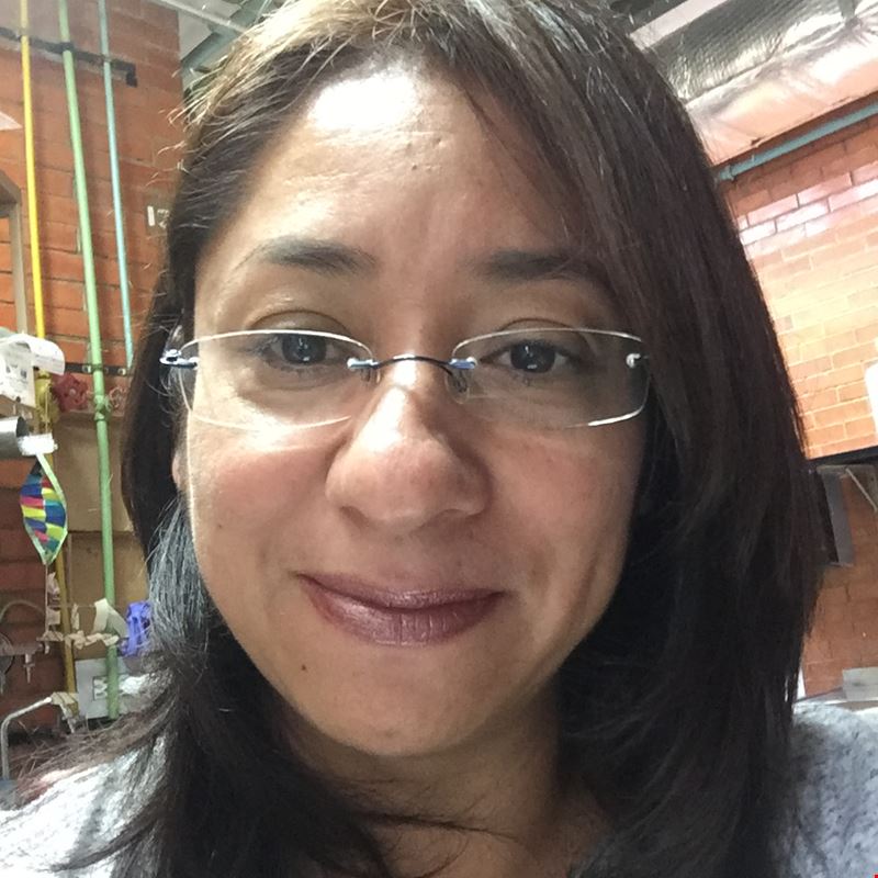 Dra. Mara del Carmen Guadarrama Romn