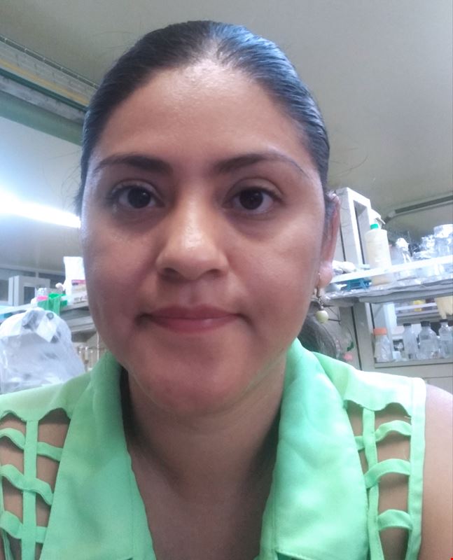 M. en C. Lizeth Soto Avila