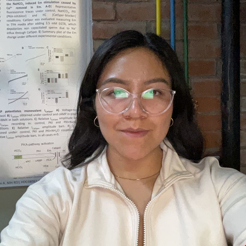 EVA SARAH  LOPEZ CRUZ