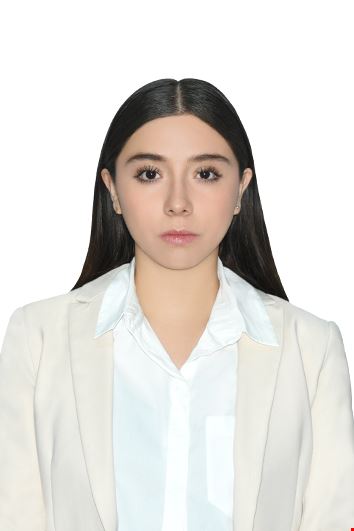 Mariana Valdez Yaez