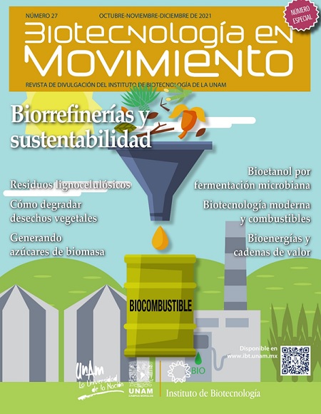Artículos del número 28 de Biotecnología en Movimiento, disponibles en www.biotecmov.org