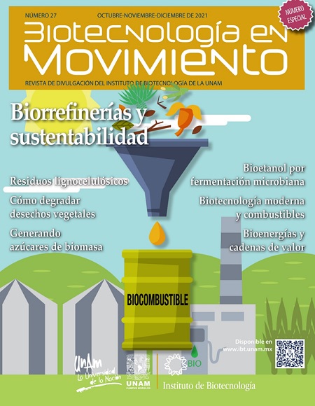 Artículos del número 27 de Biotecnología en Movimiento, disponibles en biotecmov.ibt.unam.mx