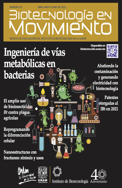 Biotecnología en Movimiento Número 29: Ingeniería de vías metabólicas en bacterias