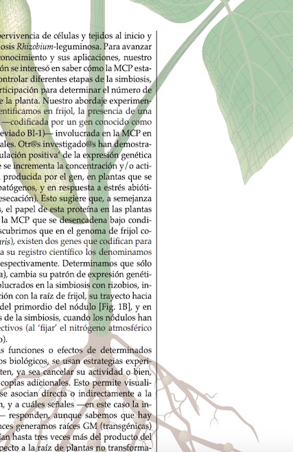 Generando conocimiento en el IBt: "Factores de vida o muerte para establecer una
simbiosis entre leguminosas y bacterias".