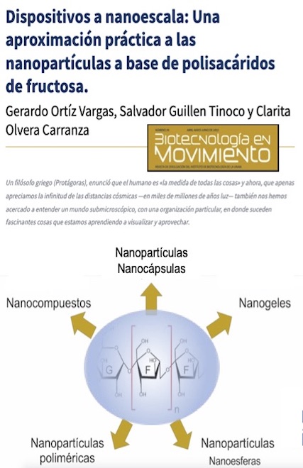 En BtMv29: desde el Laboratorio de Polímeros Biocompatibles y Nanobiotecnología (LPByN) del IBt 