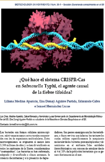 Fiebre tifoidea: revelando funciones del sistema CRISPR-Cas en Salmonella Typhi 