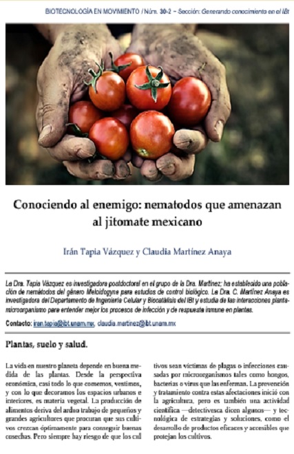 Nematodos de los géneros Globodera y Meloidogyne: las peores plagas radiculares para los tomateros en Sinaloa