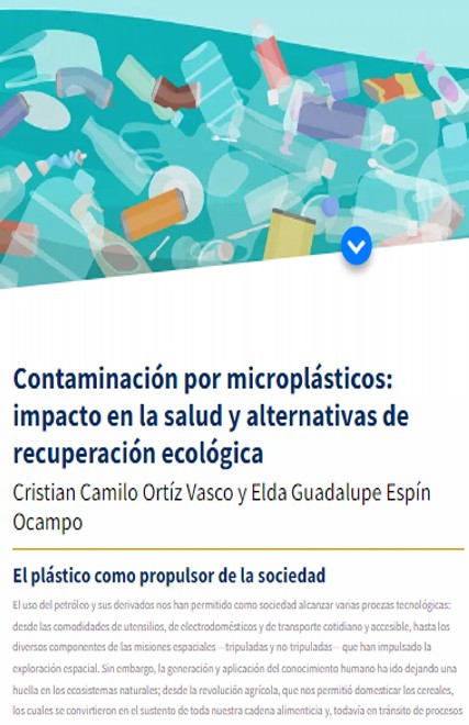 ¿Qué es la plastisfera?