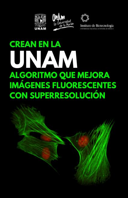 Crean en la UNAM algoritmo que mejora imágenes fluorescentes con superresolución