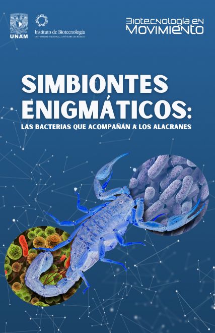 Simbiontes enigmáticos: Las bacterias que acompañan a los alacranes