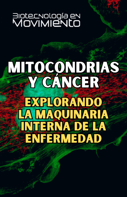 Mitocondrias y cáncer: explorando la maquinaria interna de la enfermedad