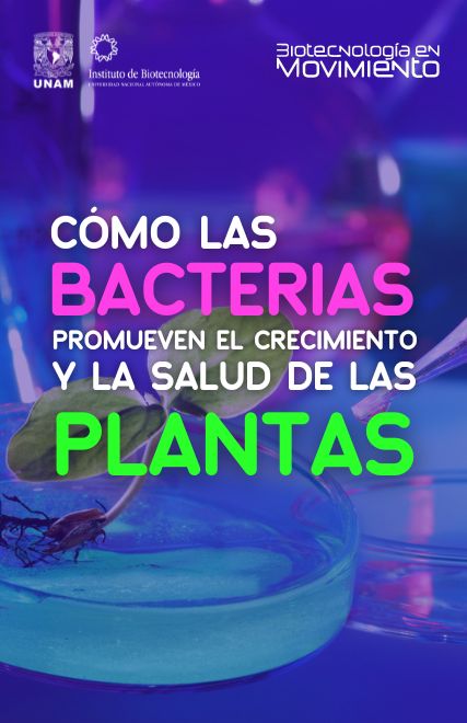 Cómo las bacterias promueven el crecimiento y la salud de las plantas