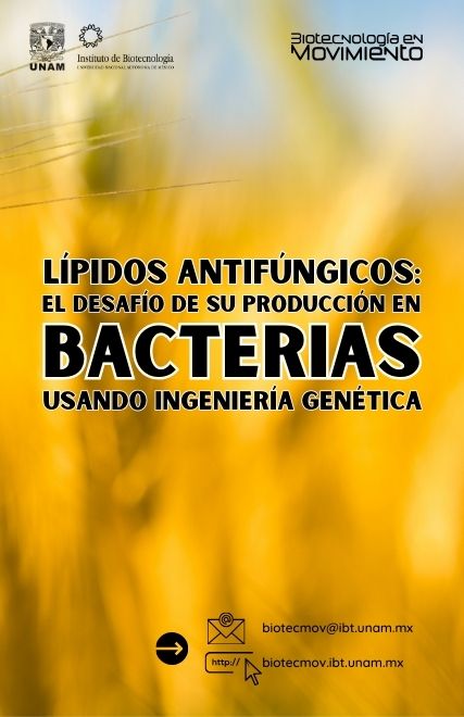Lípidos antifúngicos: el desafío de su producción en bacterias usando ingeniería genética