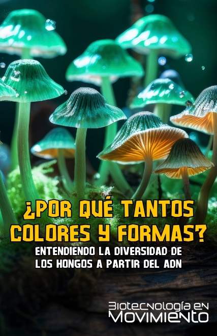 ¿Por qué tantos colores y formas? Entendiendo la diversidad de los hongos a partir del ADN