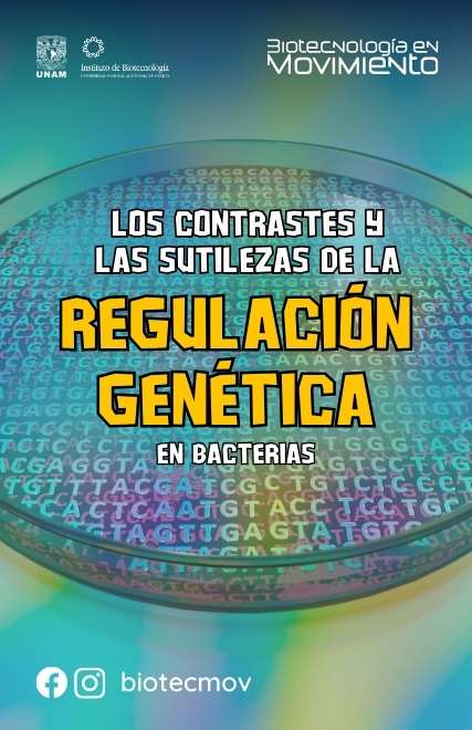 Los contrastes y las sutilezas de la regulación genética en bacterias