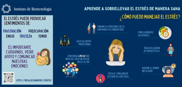 Aprende a sobrellevar el estrés de manera sana