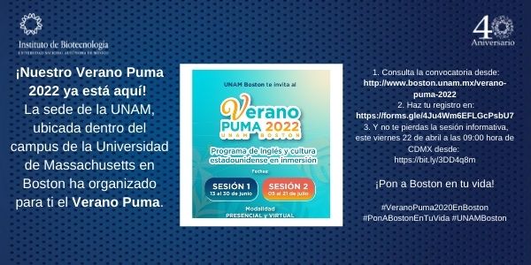 Verano Puma 2022