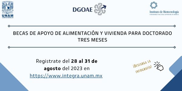 CONVOCATORIA BECAS DE APOYO DE ALIMENTACIN Y VIVIENDA PARA DOCTORADO TRES MESES