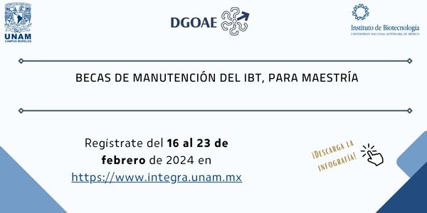 BECAS DE MANUTENCIN DEL IBt, PARA MAESTRA 