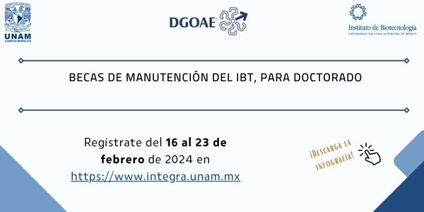 BECAS DE MANUTENCIN DEL IBt, PARA DOCTORADO