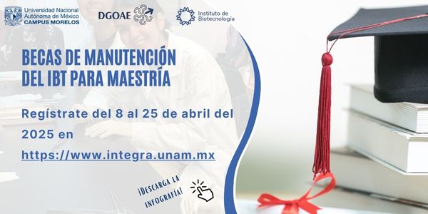 Becas de Manutencin del IBt para Maestra