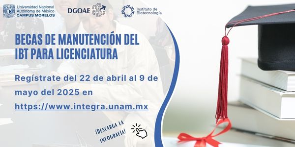 BECAS DE MANUTENCIÓN DEL IBT PARA LICENCIATURA
