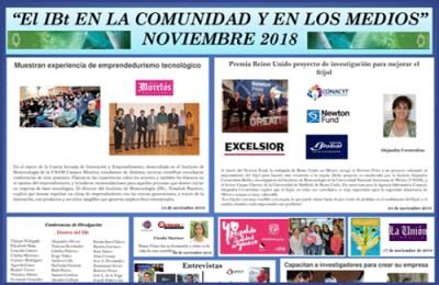 Noviembre 2018
