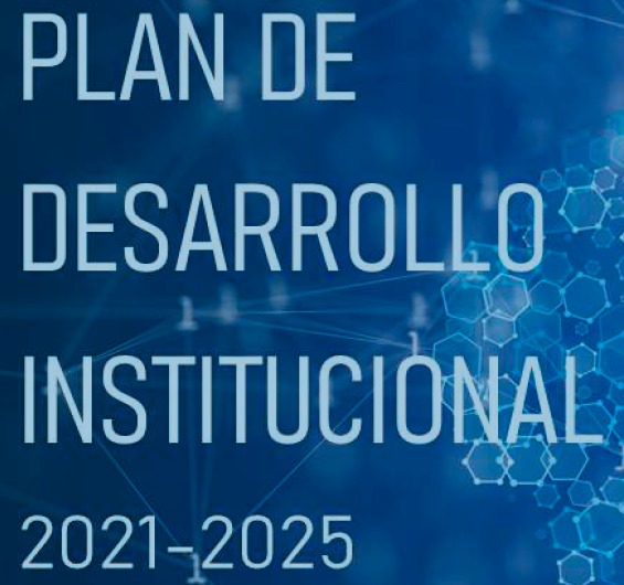 Plan de Desarrollo Institucional