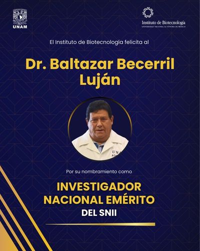 Nombran Investigador Nacional Emrito del SNII al Dr. Baltazar Becerril Lujn