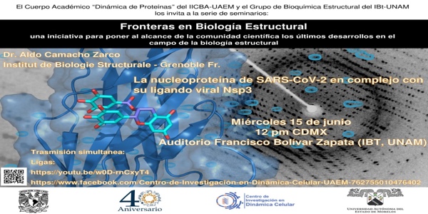 La nucleoprotena de SARS-CoV-2 en complejo con su ligando viral Nsp3