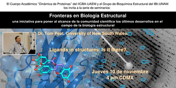 Ligands in structures: Is it there?