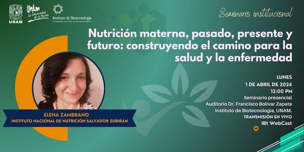 Nutricin materna, pasado, presente y futuro: construyendo el camino para la salud y la enfermedad