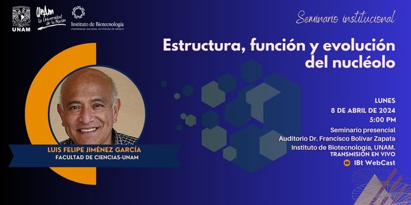 Estructura, función y evolución del nucléolo