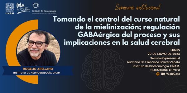 Tomando el control del curso natural de la mielinización; regulación GABAérgica del proceso y sus implicaciones en la salud cerebral