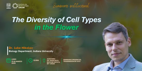 The Diversity of Cell Types in the Flower