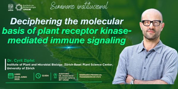 Deciphering the molecular basis of plant receptor kinase-mediated immune signaling